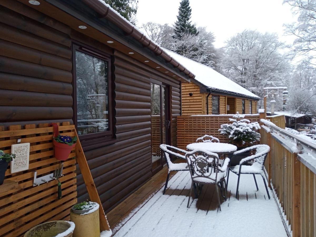 Charming Lodge Cosy Comfortable Ideal Location Blairgowrie and Rattray Extérieur photo